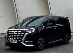 腾势（600元/天）