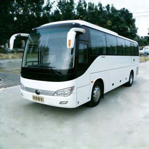 35座中巴宇通（600元/天）